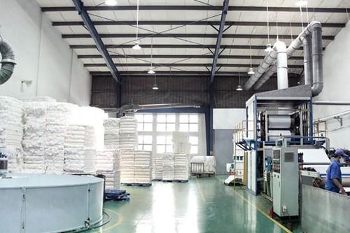 Bông Bạch Tuyết (BBT) cho công ty liên quan SGI vay 100 tỷ đồng