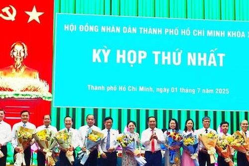TP Hồ Chí Minh: Thành lập 15 sở, ngành, cơ quan chuyên môn