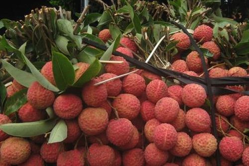 Quả vải giảm giá sâu chỉ còn vài nghìn đồng/kg bán đổ đống, chị em bày nhau làm món ngon dễ làm cho bữa ăn gia đình thêm phần hấp dẫn