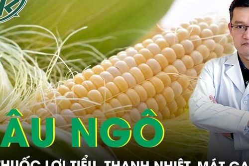 Râu ngô vị thuốc lợi tiểu, thanh nhiêt, mát gan