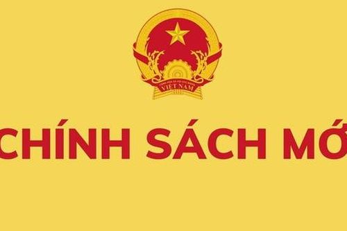 Nghị định 173/2025/NĐ-CP về hợp đồng thực hiện nhiệm vụ của công chức