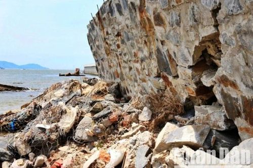 Đà Nẵng: Xử lý khẩn cấp sạt lở bờ nam cửa sông Cu Đê