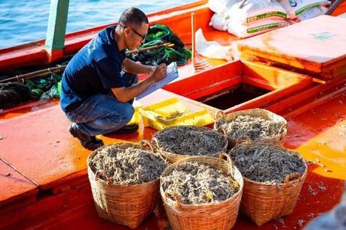 18 năm 83 triệu lít nước mắm cốt từ Nhà máy Masan PQ