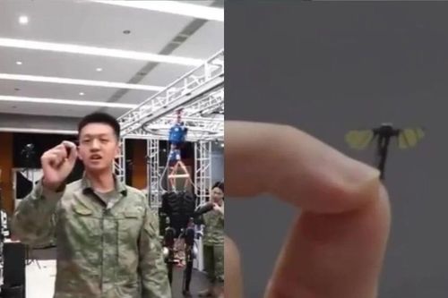 Trung Quốc trình làng 'muỗi robot' trinh sát siêu nhỏ