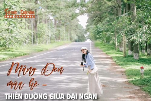 [INFOGRAPHIC] Măng Đen mùa hè - Thiên đường giữa đại ngàn