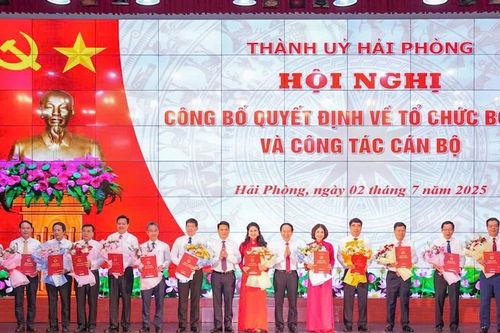 Ông Lương Văn Việt làm Giám đốc Sở GD&ĐT Hải Phòng