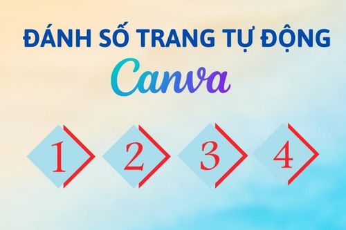 Cách đánh số trang trên Canva tự động và nhanh chóng