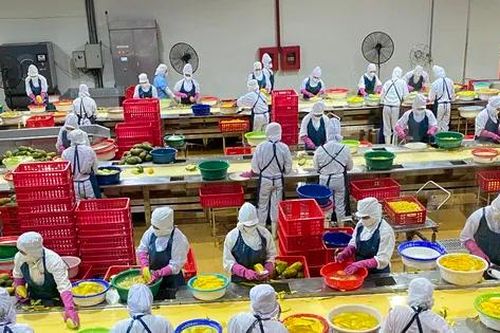 Khánh thành dây chuyền bao bì giấy đầu tiên tại Việt Nam
