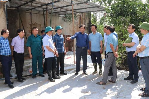Tập trung cao độ xử lý sạt lở đê tả Cầu và sự cố mạch sủi tại trạm bơm Cẩm Bào