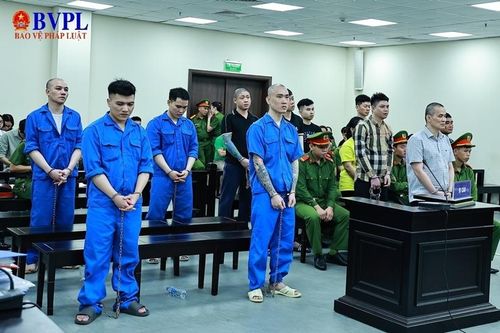 Tử hình 11 bị cáo trong vụ dùng xe ô tô biển xanh chở ma túy