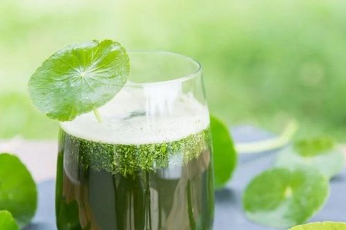Những cách làm đẹp với rau má - người bạn đồng hành lý tưởng của làn da