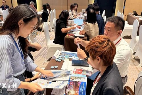 Hợp tác Việt Nam-Nhật Bản: 50 doanh nghiệp và tổ chức đẩy mạnh giao lưu, kết nối