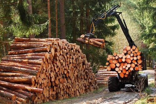 Pháp luật sẽ bảo vệ chúng ta
