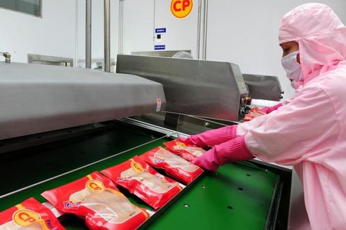 Không khởi tố hình sự đối với tố giác heo bệnh ở Công ty C.P