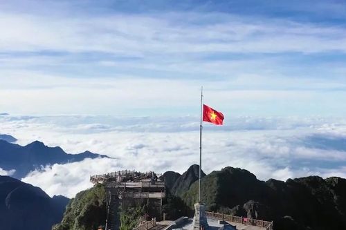 Khi 'Xanh' và 'Hạnh phúc' hòa chung một nhịp