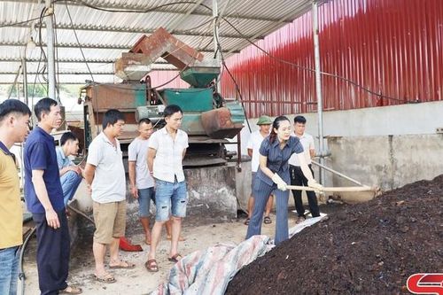 Giải pháp xử lý chất thải cà phê