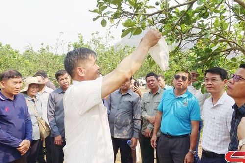 Hợp tác phát triển nông nghiệp với các tỉnh nước bạn Lào