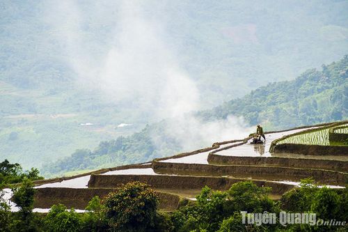 Hồng Thái ngóng mùa nước đổ