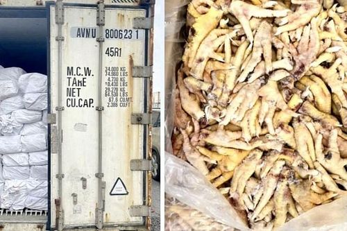 Hải quan khởi tố vụ án trốn thuế 7 tỷ đồng, xuất khống 1.400 tấn chân gà đông lạnh