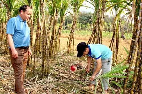Điểm tựa xây dựng nông thôn mới ở vùng cao Tuyên Quang