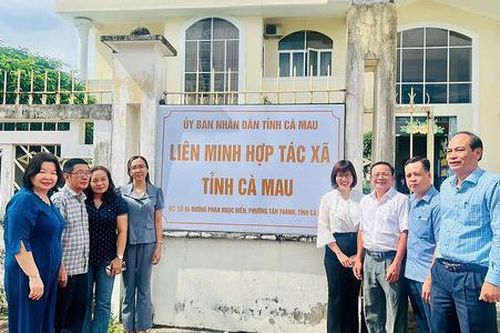 Liên minh HTX Việt Nam thúc đẩy giảm nghèo bền vững tại Cà Mau với mô hình nuôi nghêu kết hợp du lịch cộng đồng