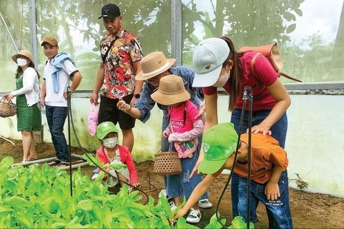 Phát triển kinh tế từ mô hình du lịch nông nghiệp