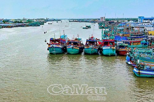 Khát vọng làm giàu từ biển