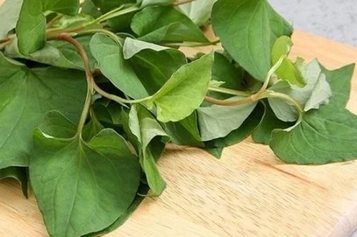 Lợi ích bất ngờ từ rau diếp cá