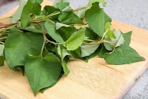 Những bài thuốc từ rau diếp cá