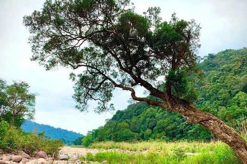 Phê duyệt Đề án du lịch sinh thái, giải trí Vườn quốc gia Vũ Quang