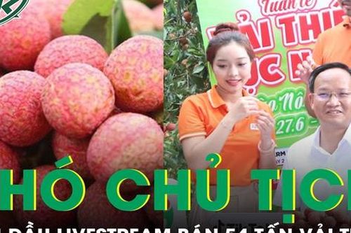 Phó Chủ tịch tỉnh lần đầu livestream đã 'chốt đơn' 54 tấn vải thiều Lục Ngạn