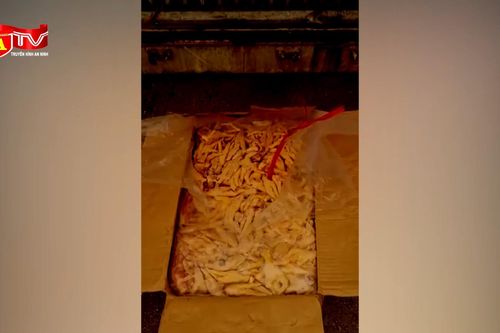 Vạch trần chiêu 'phù phép' 1.400 tấn chân gà để trốn thuế hàng tỷ đồng