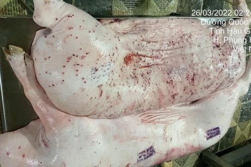 Cảnh cáo nhân viên thú y đóng dấu kiểm dịch sai lên thịt lợn giết mổ của C.P