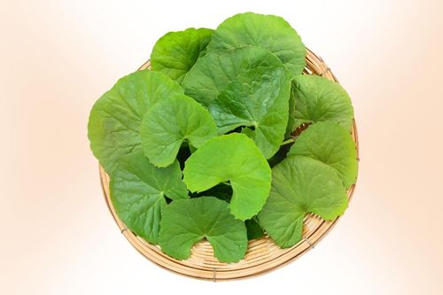 Loại rau là 'thần dược' cho làn da
