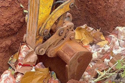 Tiêu hủy hơn nửa tấn thịt đông lạnh chưa qua kiểm dịch