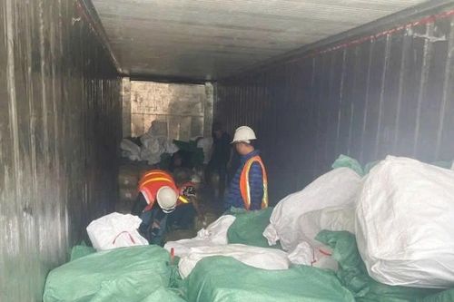Chuyển vụ án xuất khống 1.400 tấn chân gà sang cơ quan công an