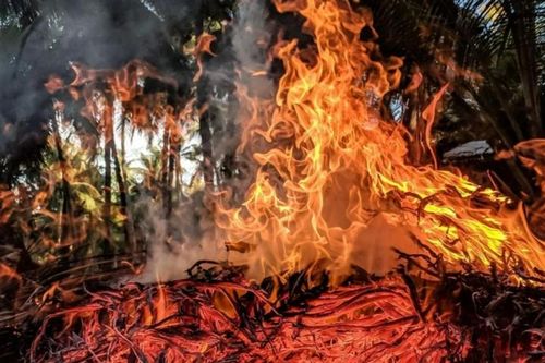 Hé lộ nguyên nhân Trái đất nóng suốt 5 triệu năm sau Đại tuyệt chủng