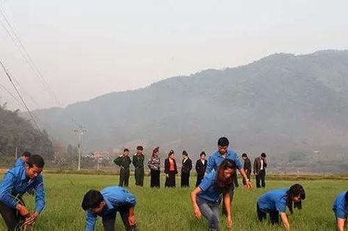 Chính phủ yêu cầu tiếp nhận đội viên thuộc đề án 500 tri thức trẻ vào công chức xã