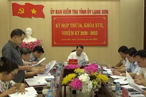 Đề nghị kỷ luật nguyên Giám đốc Sở Tư pháp Lạng Sơn sử dụng văn bằng, chứng chỉ giả