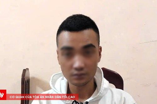 Bắt đối tượng gây ra 7 vụ cướp giật tài sản của phụ nữ đi đường