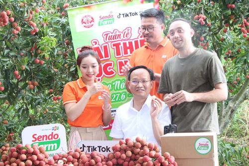 Phó Chủ tịch tỉnh livestream bán vải thiều: Tôi không có kỹ năng bán hàng online