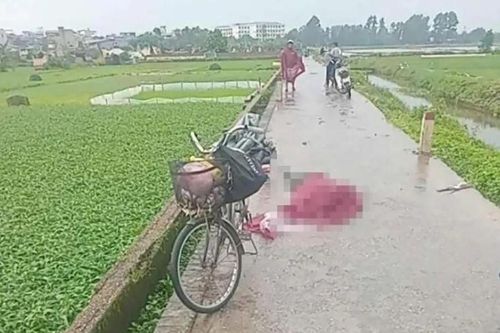 Người phụ nữ bị sét đánh tử vong trên cánh đồng