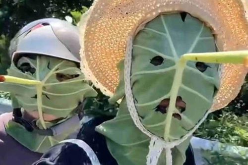 Giới trẻ Trung Quốc dùng lá sen làm mặt nạ chống nắng, trào lưu gây tranh cãi