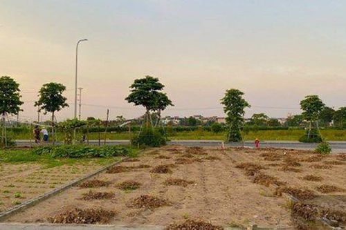 Chuyển đổi đất vườn sang đất ở phải nộp tiền tỷ, Bộ Tài chính nói gì?