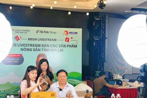 Hợp tác xã bắt nhịp thời đại số