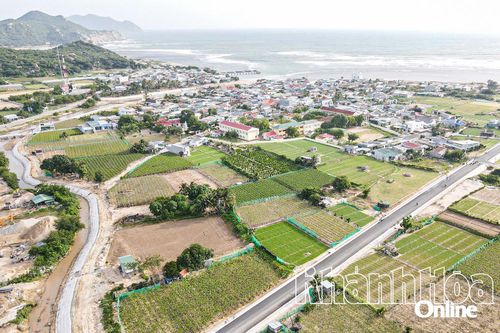 Đẩy nhanh tiến độ Dự án Điện hạt nhân