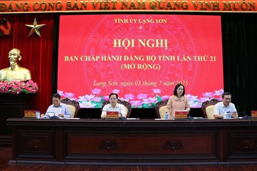 Hội nghị Ban Chấp hành Đảng bộ tỉnh lần thứ 21