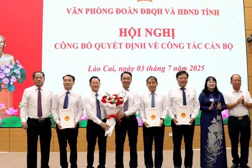 Văn phòng Đoàn đại biểu Quốc hội và Hội đồng nhân dân tỉnh công bố quyết định về công tác cán bộ