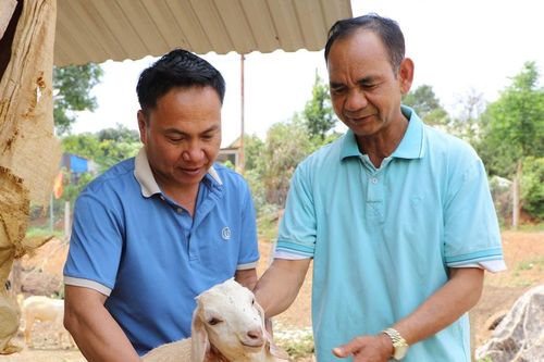 Đồng bào DTTS chung sức xây dựng tỉnh mới Lâm Đồng