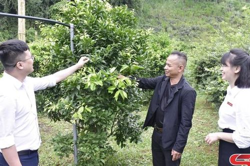Gieo cơ hội, gặt thành công